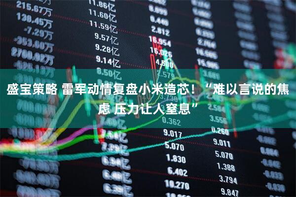 盛宝策略 雷军动情复盘小米造芯！“难以言说的焦虑 压力让人窒息”