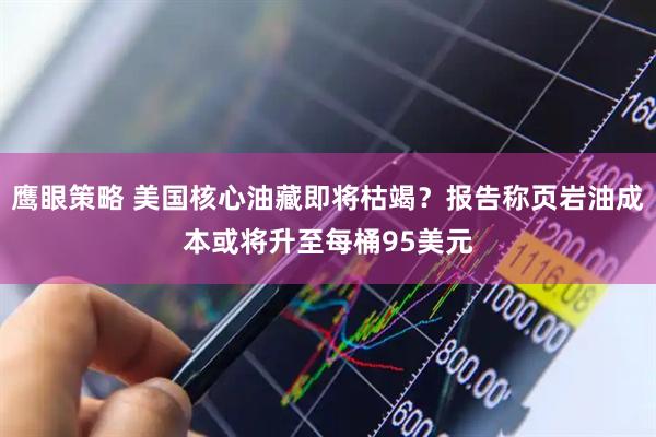 鹰眼策略 美国核心油藏即将枯竭？报告称页岩油成本或将升至每桶95美元