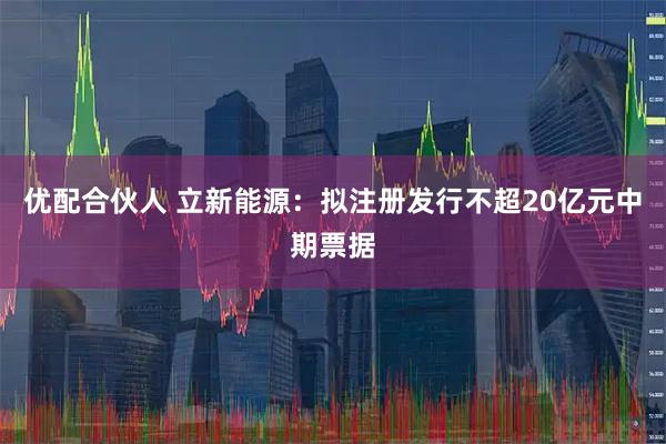 优配合伙人 立新能源：拟注册发行不超20亿元中期票据