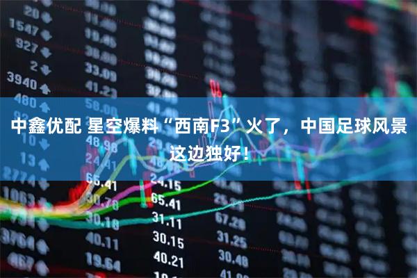 中鑫优配 星空爆料“西南F3”火了，中国足球风景这边独好！