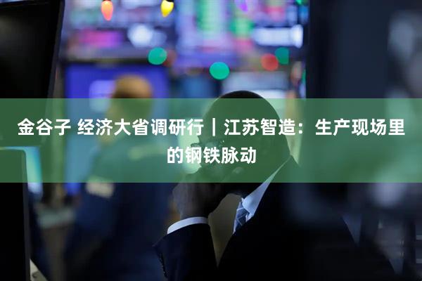 金谷子 经济大省调研行｜江苏智造：生产现场里的钢铁脉动
